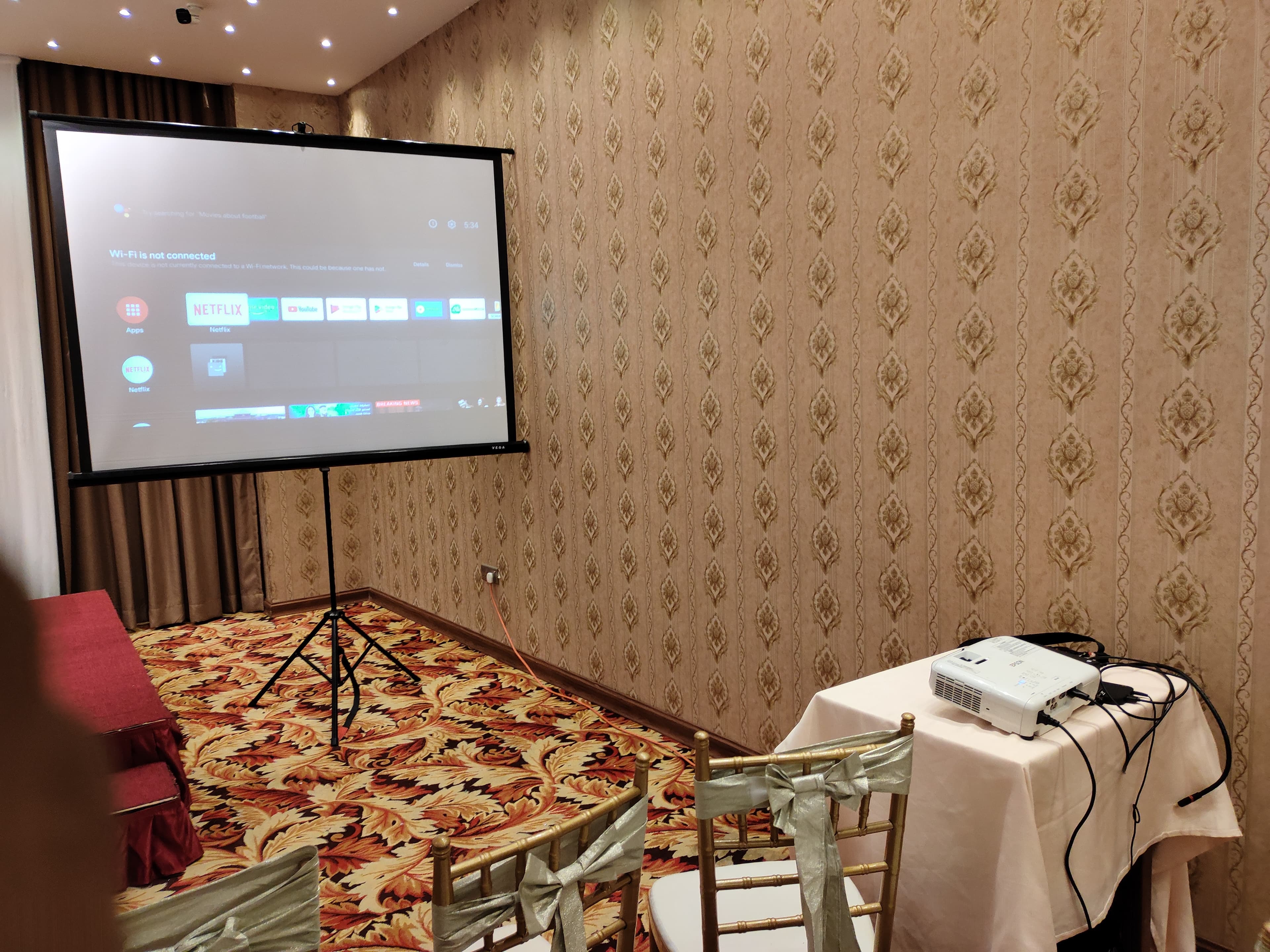 Tripod 6 x 6 Feet 1:1 Projector Screen in action 9