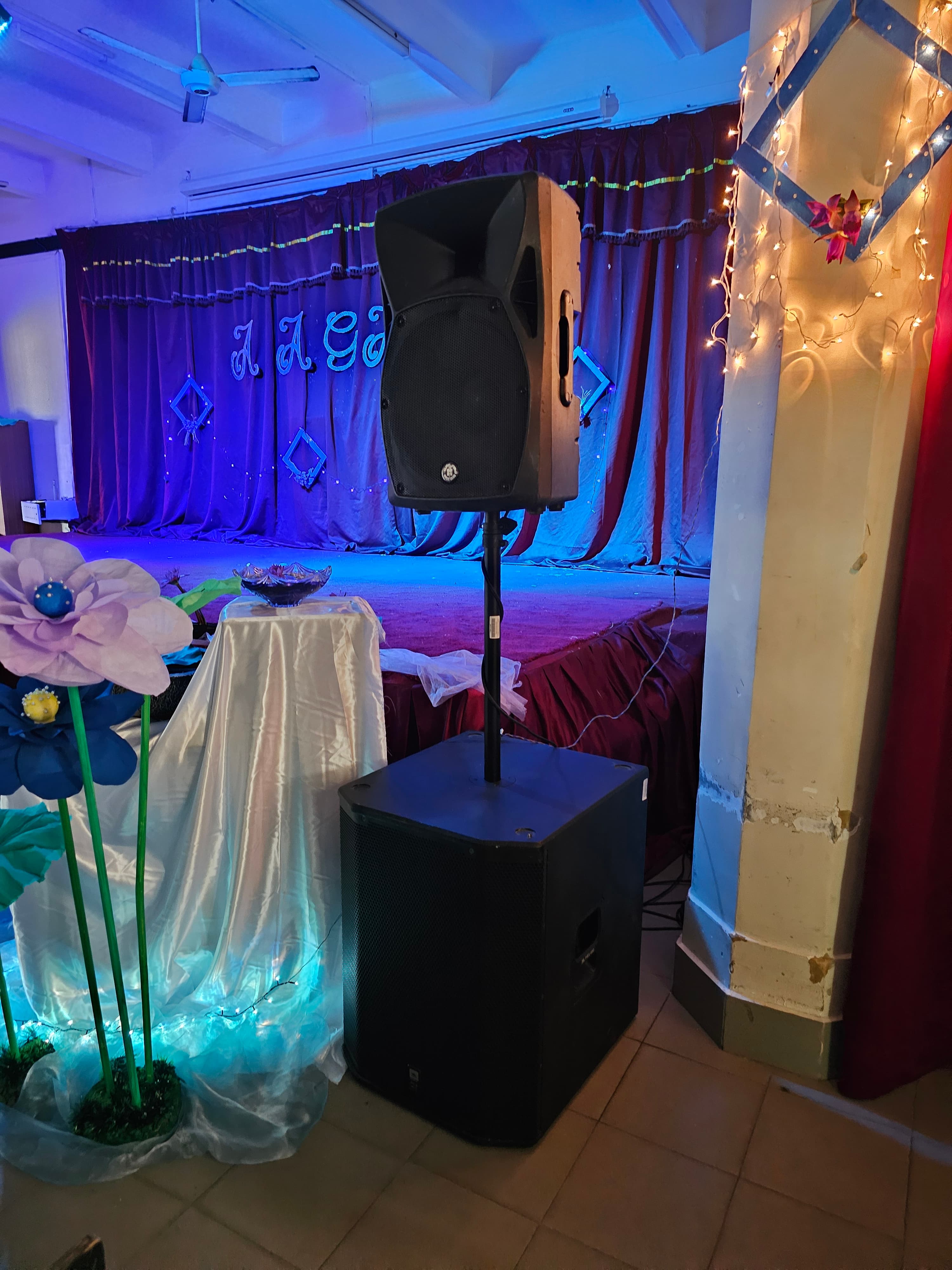 JBL STX828S Dual 18-inch Passive Subwoofer in action 2