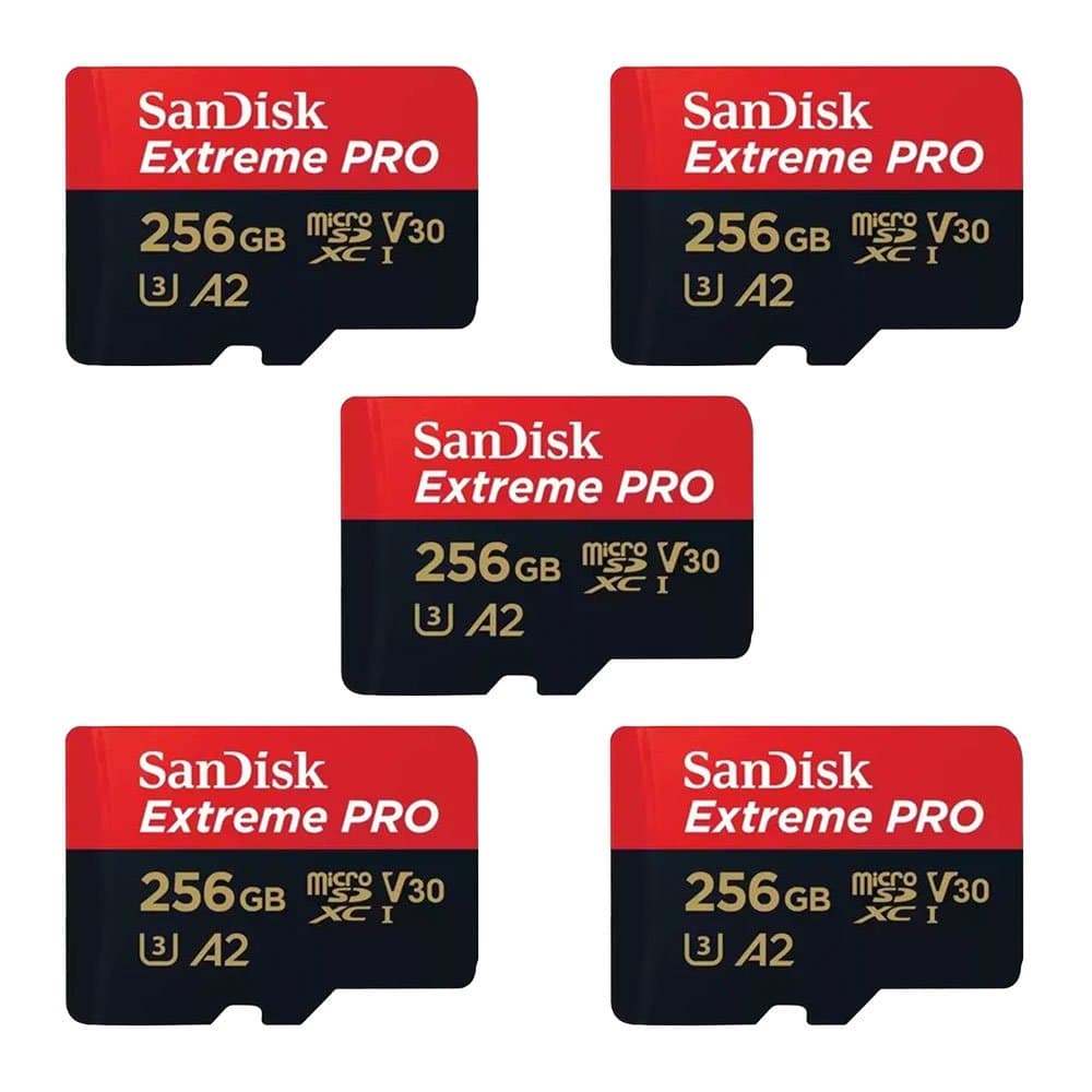 Rent SanDisk Power Bank in Sri Lanka - Videography from Rentitem.lk - thumbnail 2