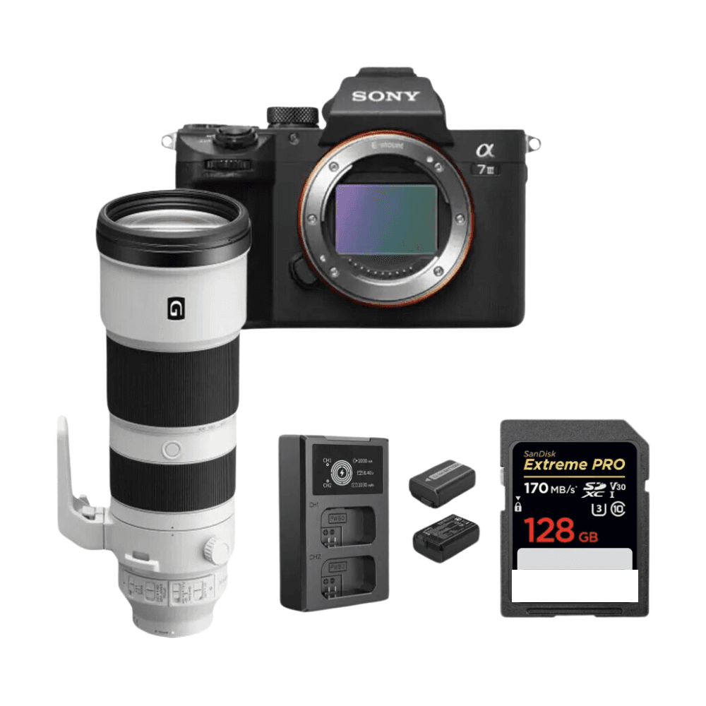 Sony A7iii Camera with 200-600mm f/5.6-6.3 Lense Setup