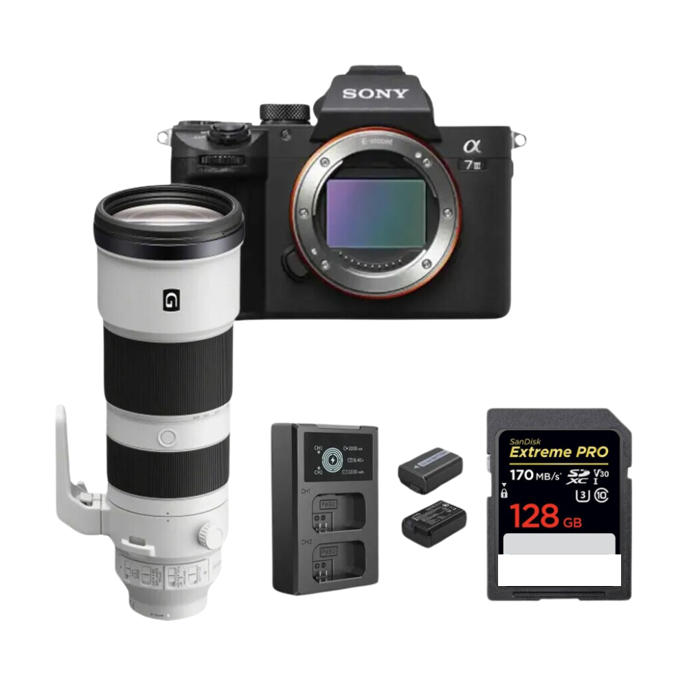 Sony A7iii Camera with 200-600mm f/5.6-6.3 Lense Setup