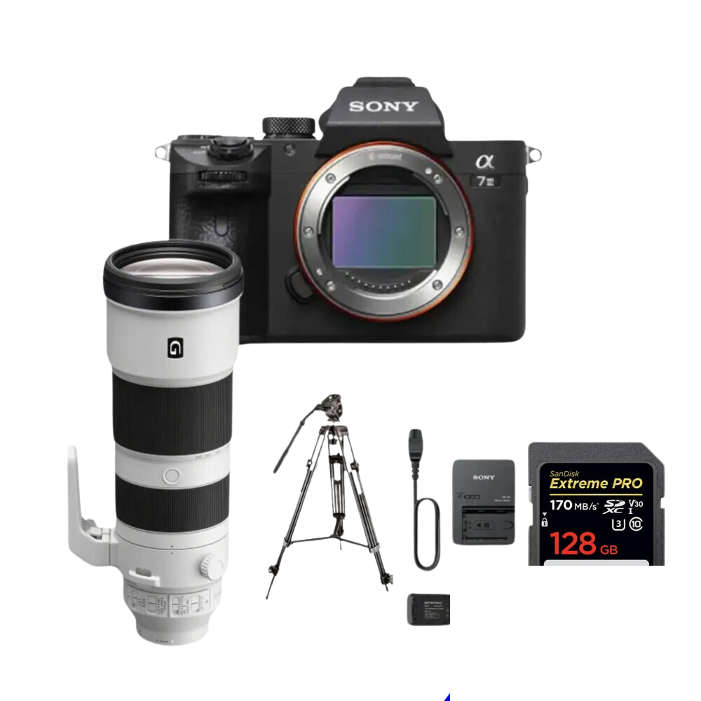 Sony A7iii Camera with 200-600mm f/5.6-6.3 Lense with Video Tripod